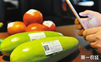 記錄前世今生 北京農(nóng)產(chǎn)品身份證，追溯保障安心消費(fèi)