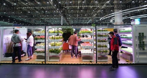 進(jìn)博會(huì)上的“集裝箱農(nóng)場(chǎng)” 科技重塑農(nóng)產(chǎn)品生產(chǎn)新未來